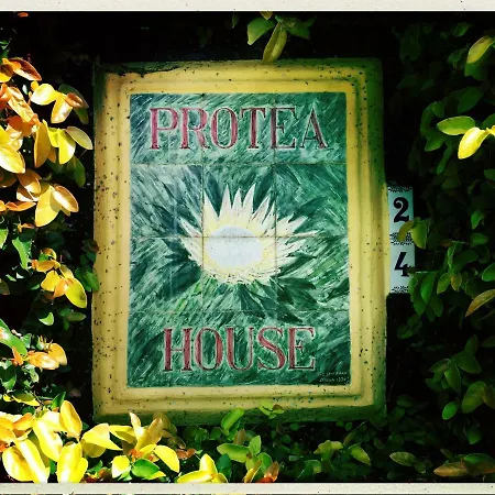 Azores Protea House